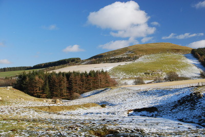 Walk photo