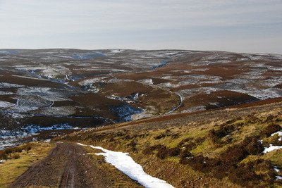 Walk photo