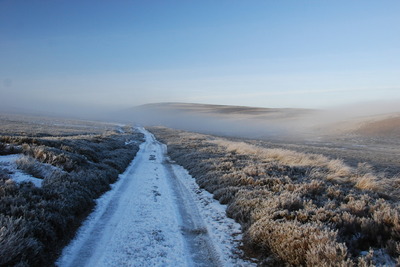 Walk photo