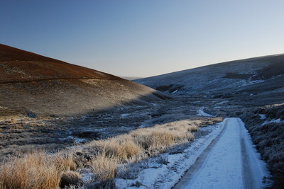 Walk photo