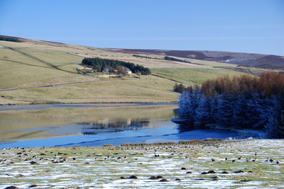 Walk photo
