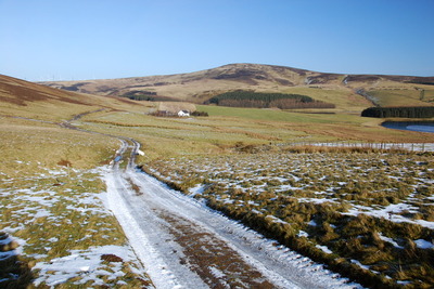 Walk photo