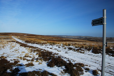 Walk photo