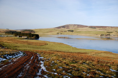 Walk photo
