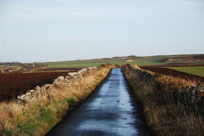 Walk photo