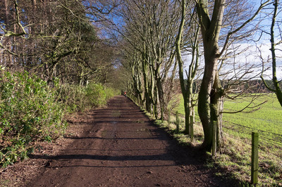 Walk photo