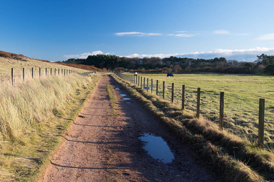 Walk photo
