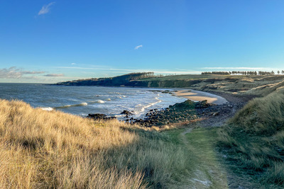 Walk photo