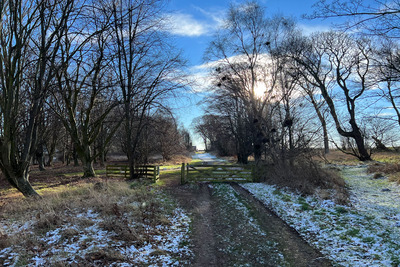 Walk photo