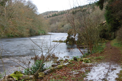 Walk photo