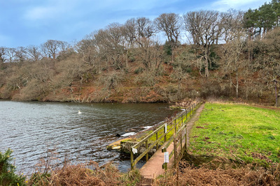 Walk photo