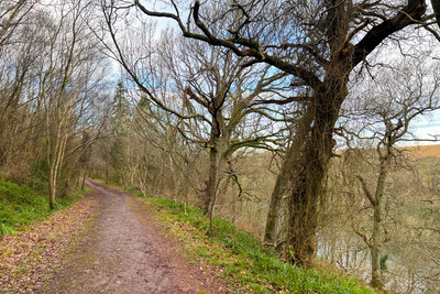 Walk photo