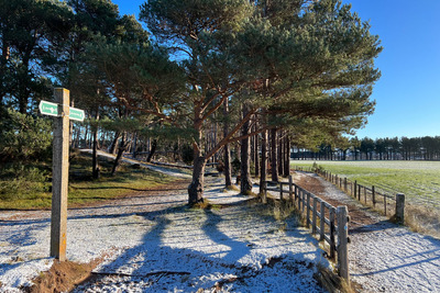 Walk photo