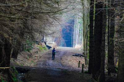 Walk photo