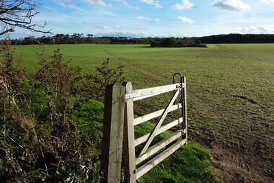 Walk photo