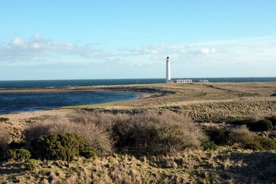 Walk photo