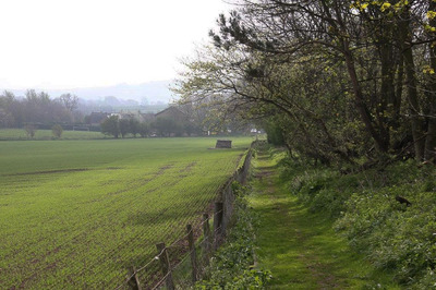 Walk photo