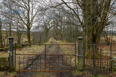Walk photo