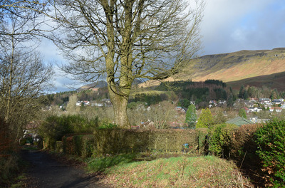 Walk photo