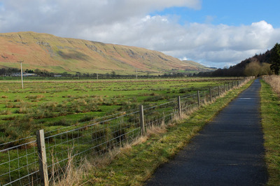 Walk photo