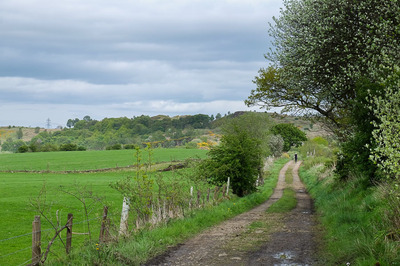 Walk photo