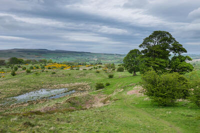Walk photo