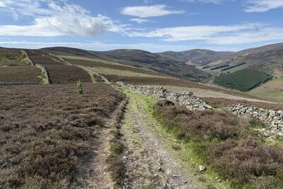 Walk photo