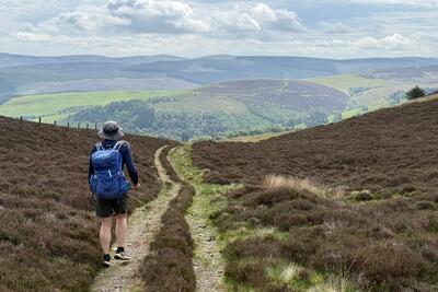 Walk photo