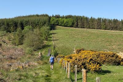 Walk photo