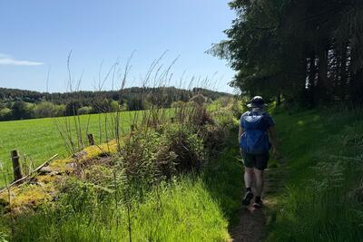 Walk photo