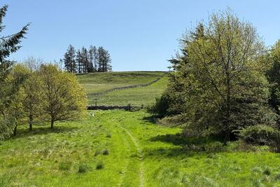 Walk photo