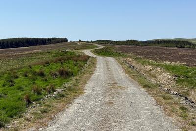 Walk photo