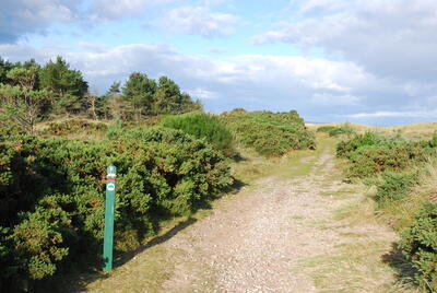 Walk photo