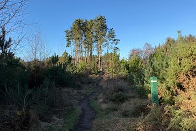 Walk photo