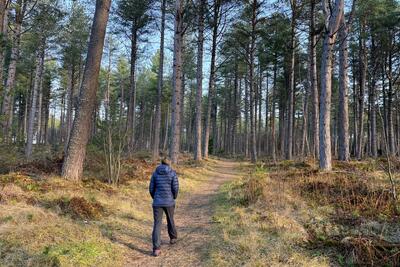 Walk photo