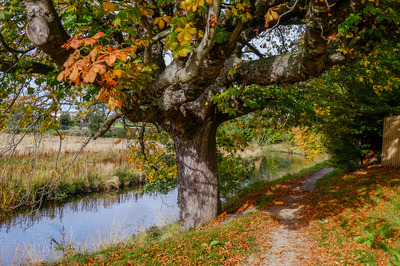 Walk photo