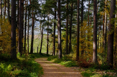 Walk photo