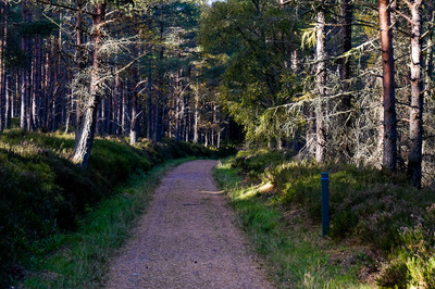 Walk photo