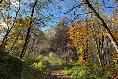 Walk photo