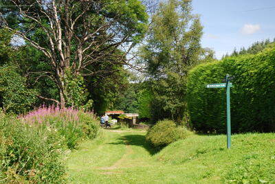 Walk photo