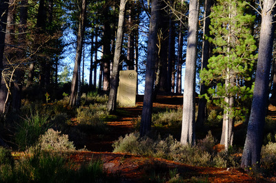 Walk photo