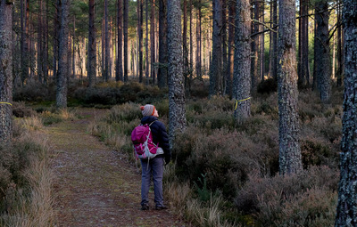 Walk photo