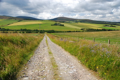 Walk photo