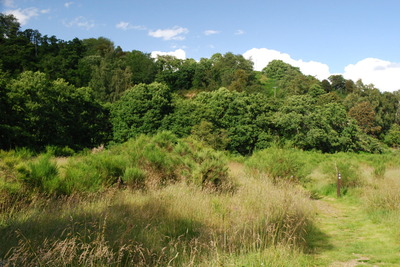 Walk photo