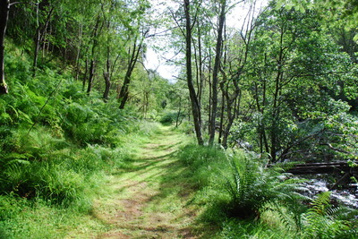 Walk photo