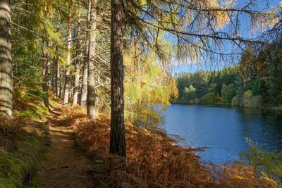 Walk photo