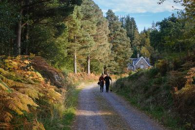 Walk photo
