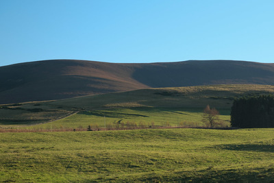 Walk photo