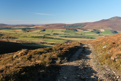 Walk photo