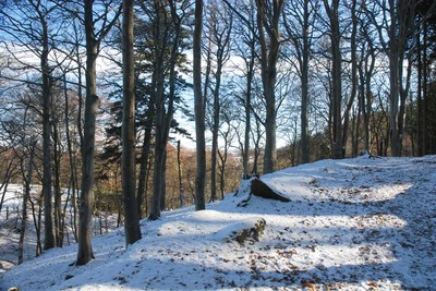 Walk photo